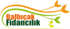 balbicak-logo